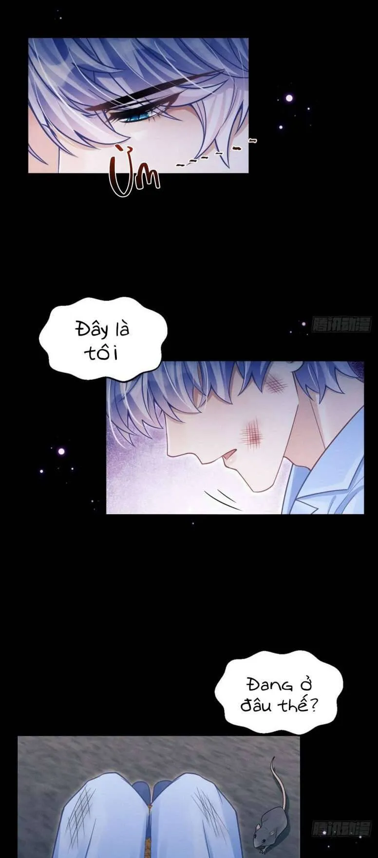 Trang 7