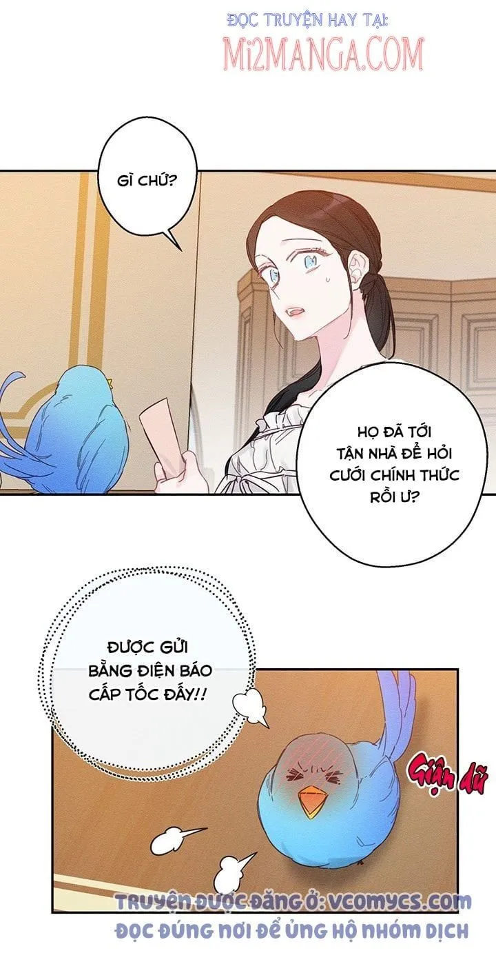 Trang 15
