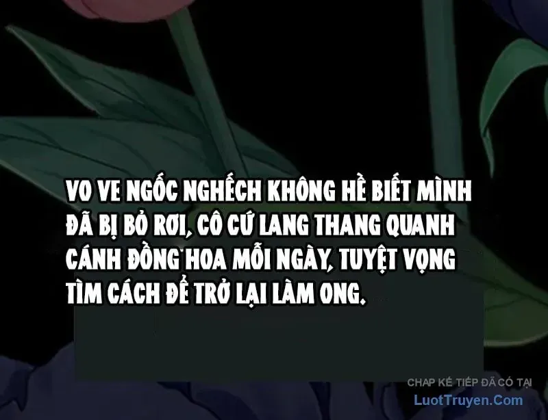 Trang 161