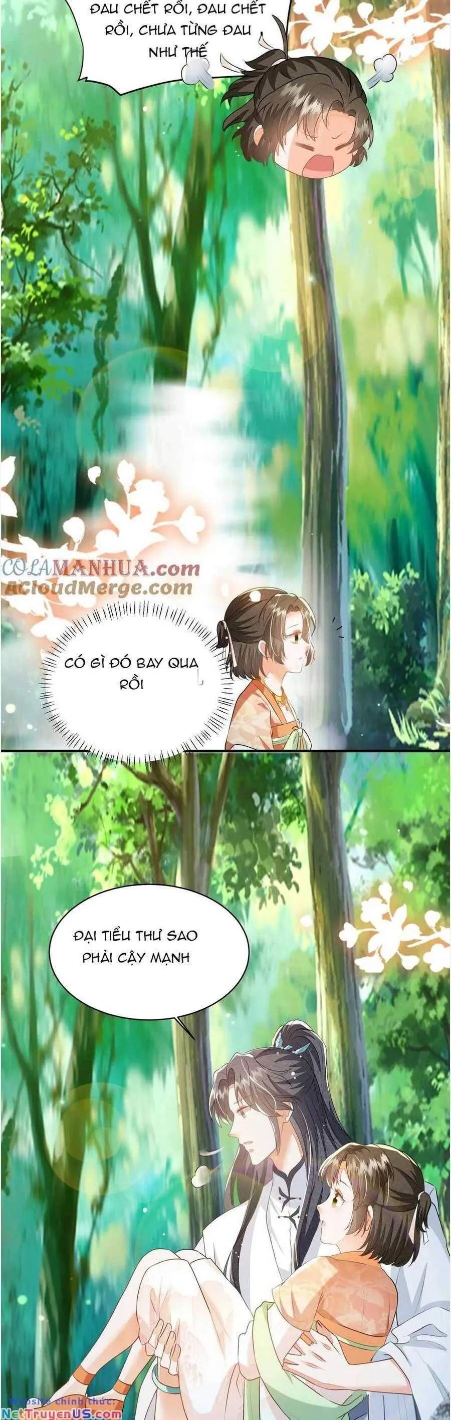 Trang 12
