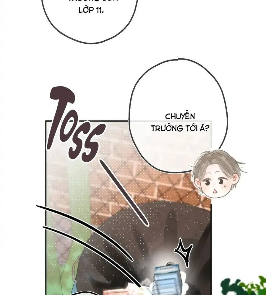 Trang 51