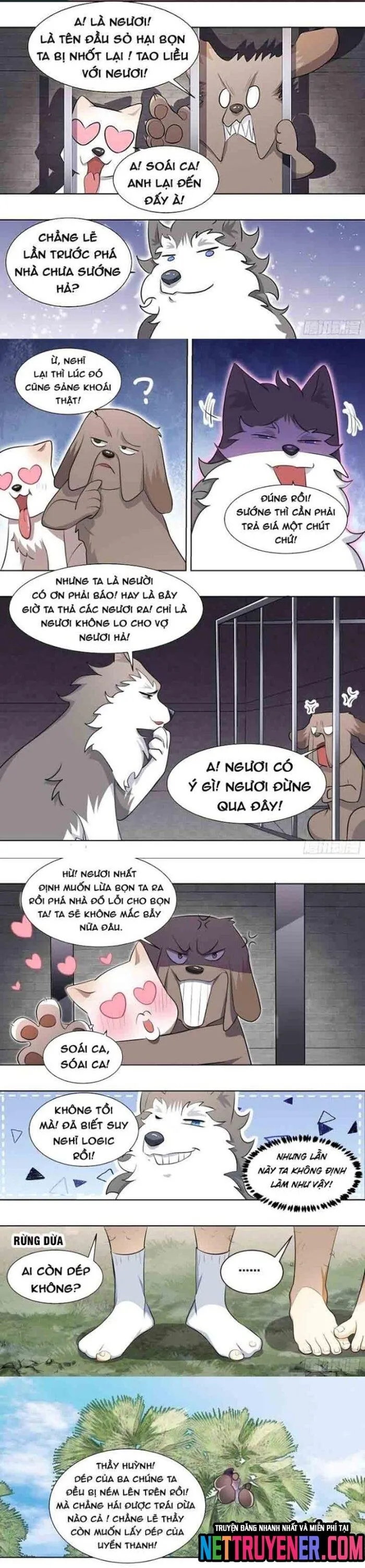 Trang 4