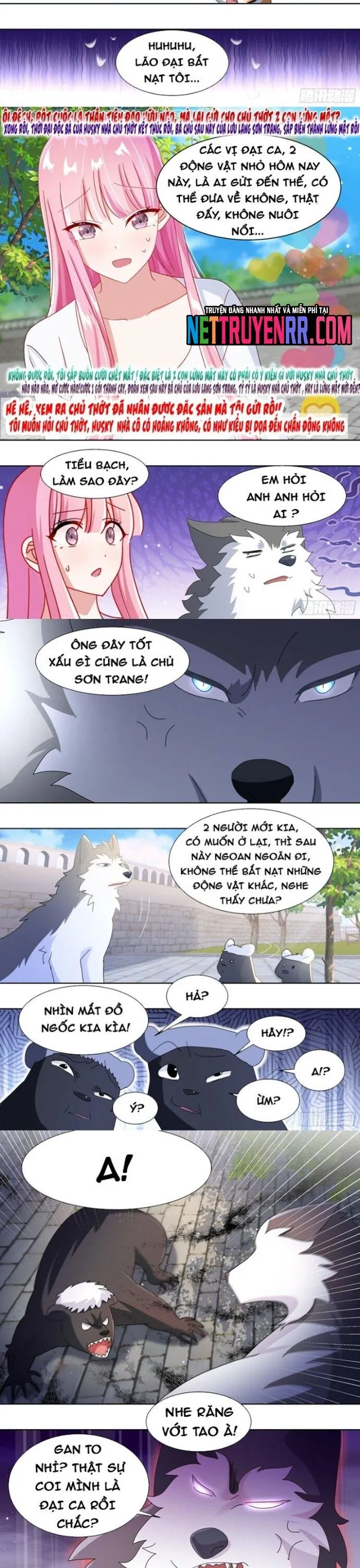 Trang 4