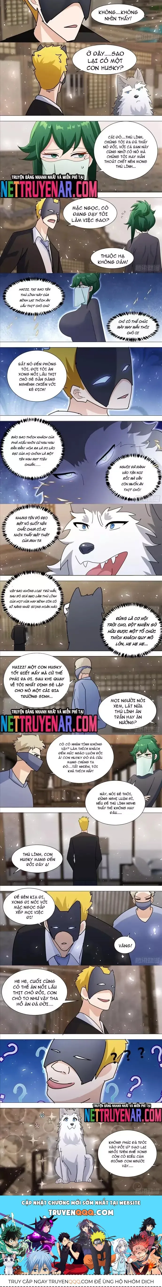 Trang 4