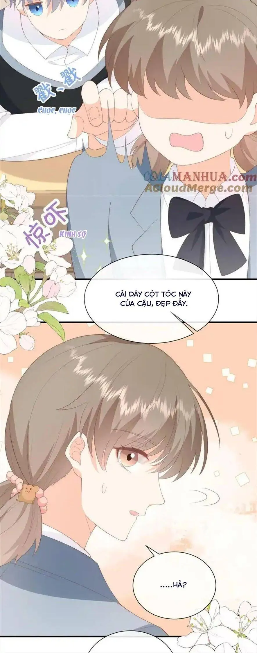 Trang 17