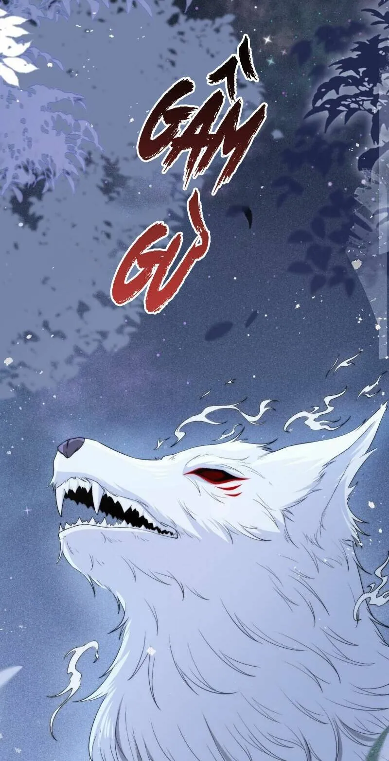 Trang 66