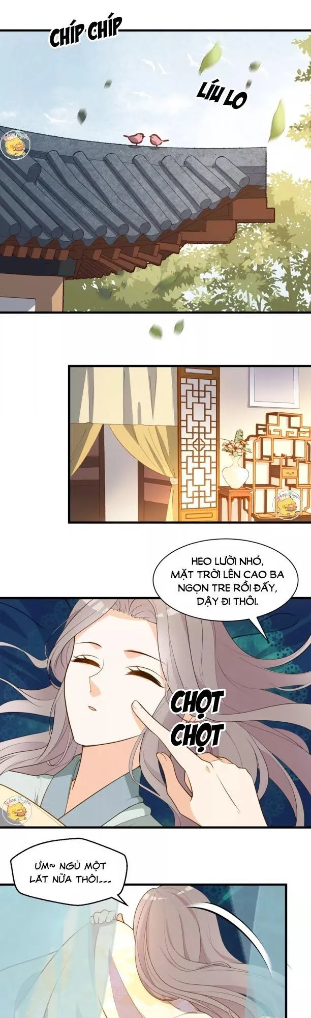 Trang 17