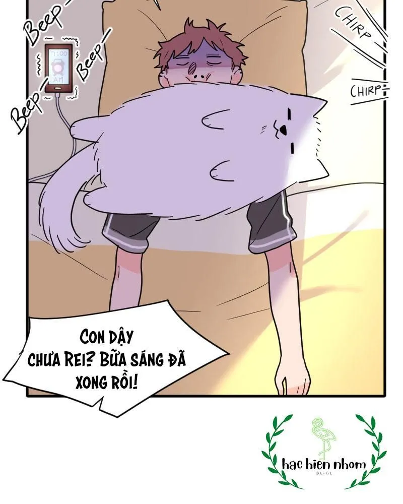 Trang 115
