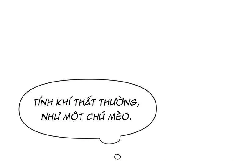 Trang 117