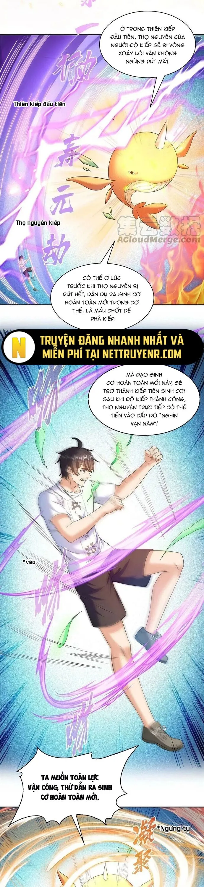 Trang 4