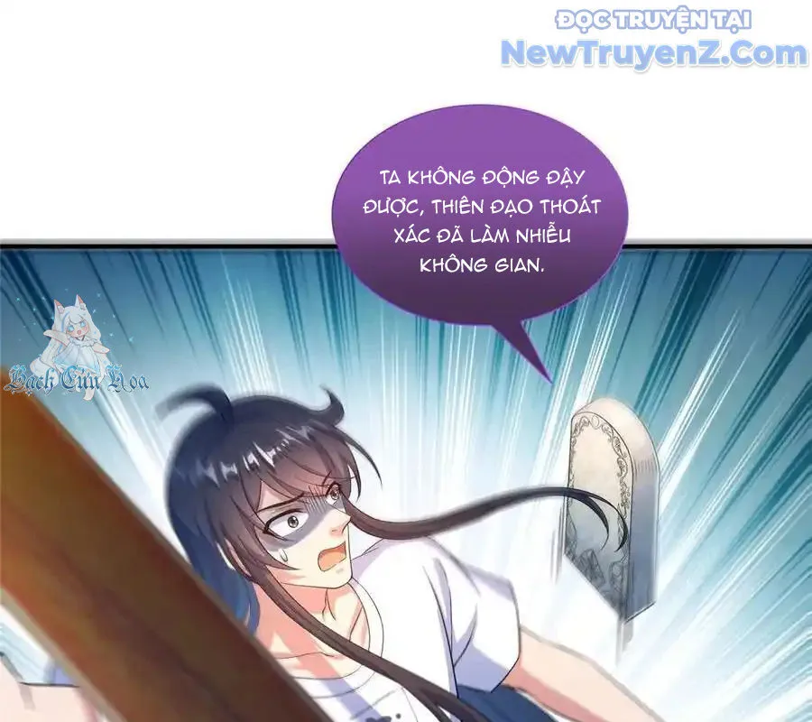 Trang 24