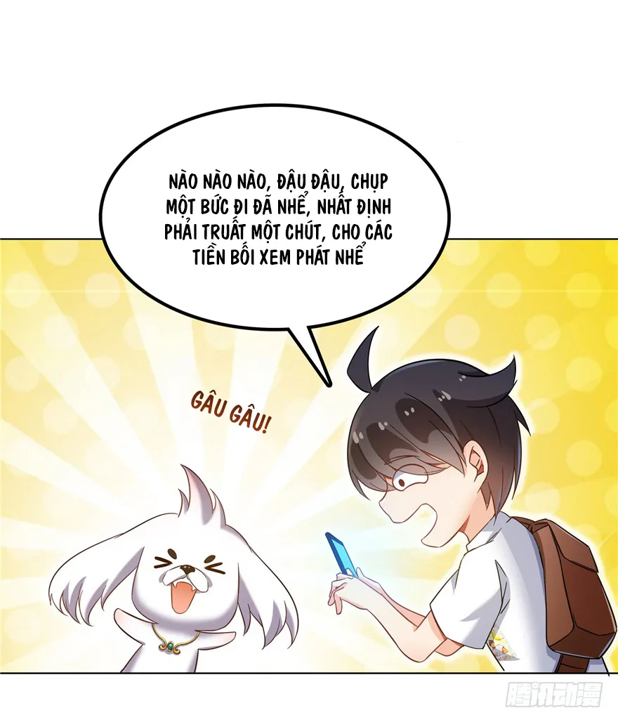 Trang 19