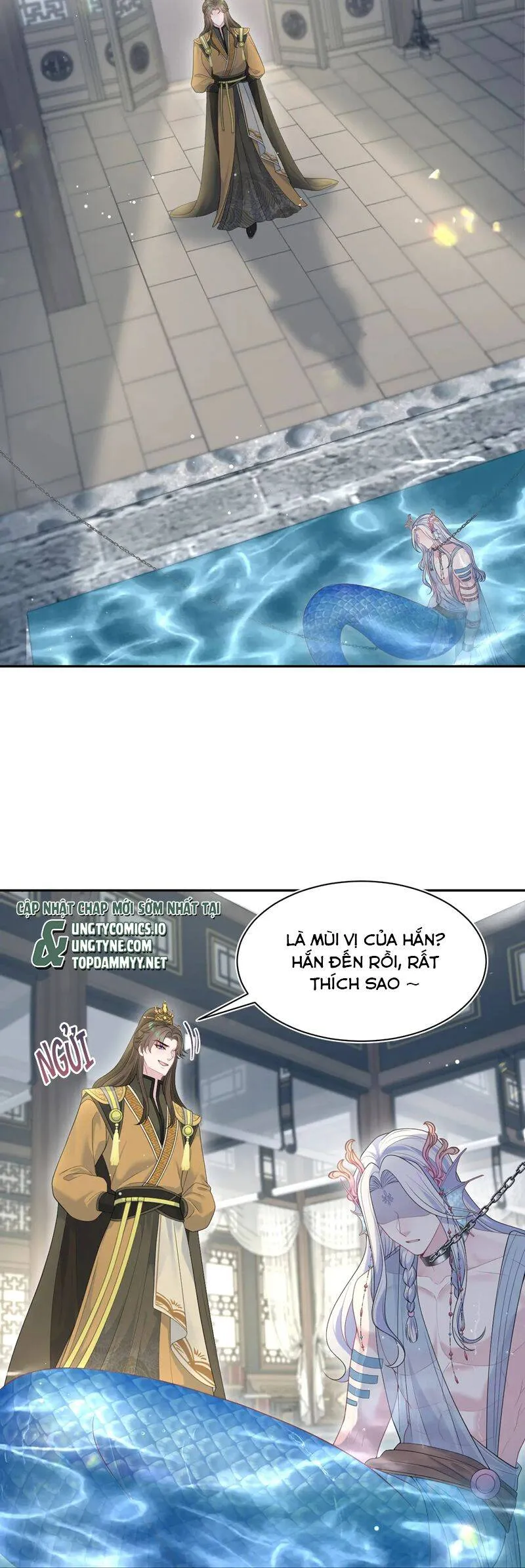 Trang 17