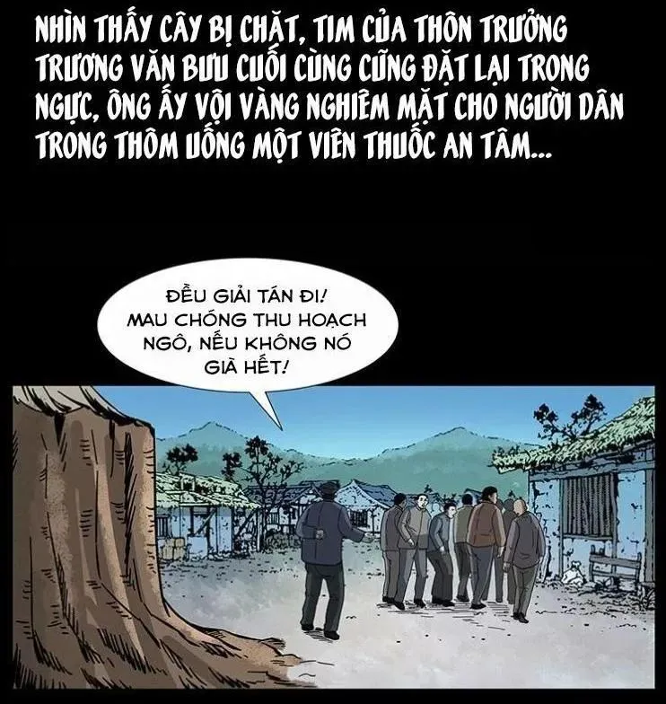 Trang 53