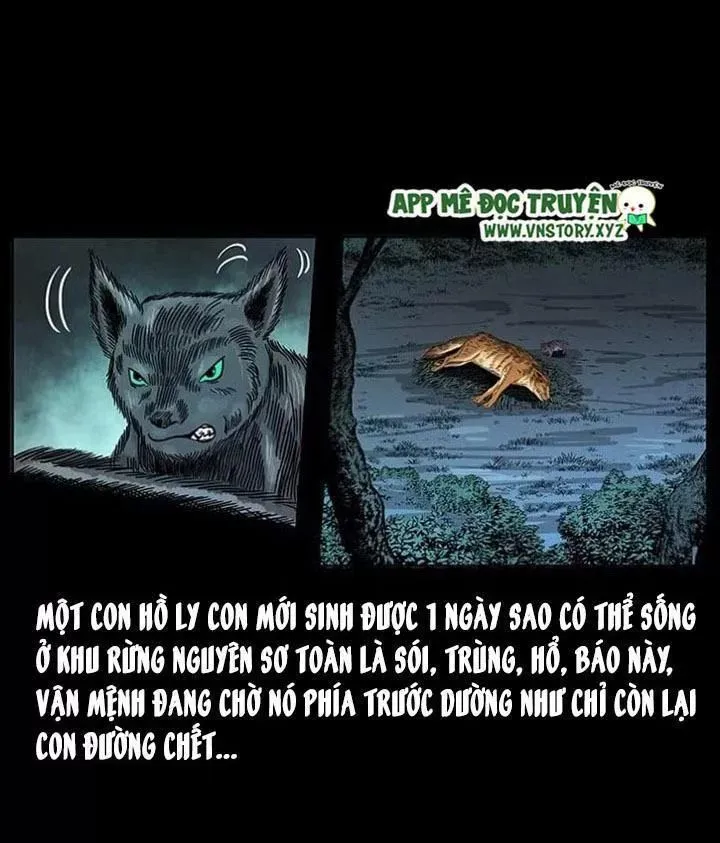 Trang 25