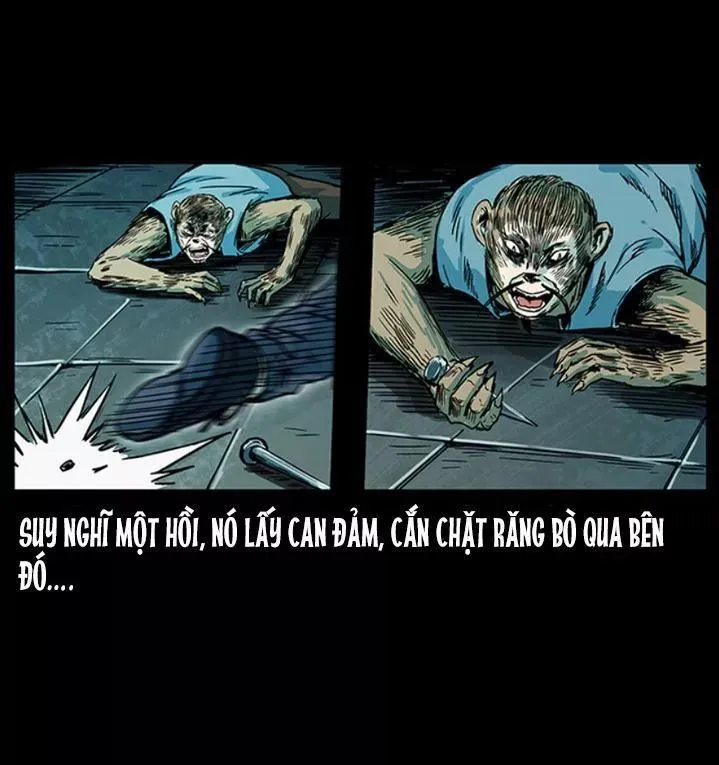 Trang 13