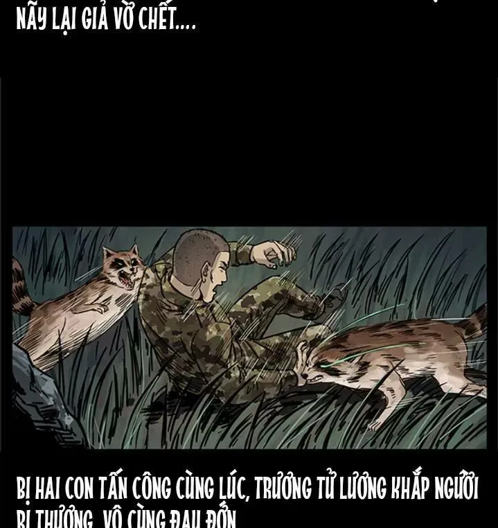 Trang 24