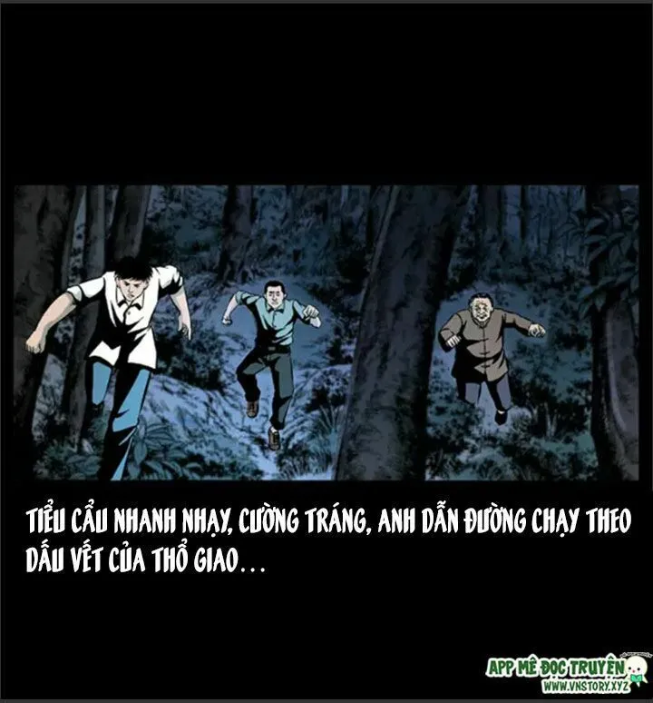 Trang 15