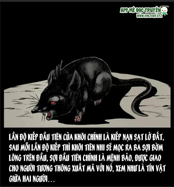 Trang 13