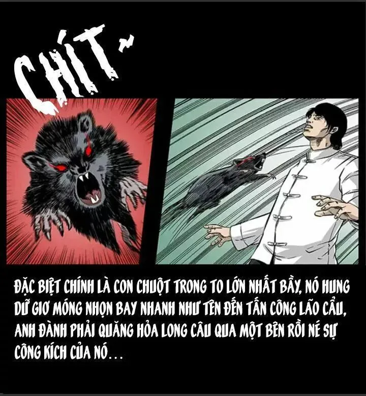 Trang 56