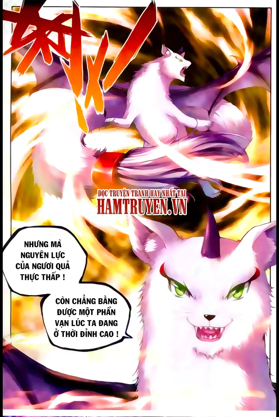 Trang 19