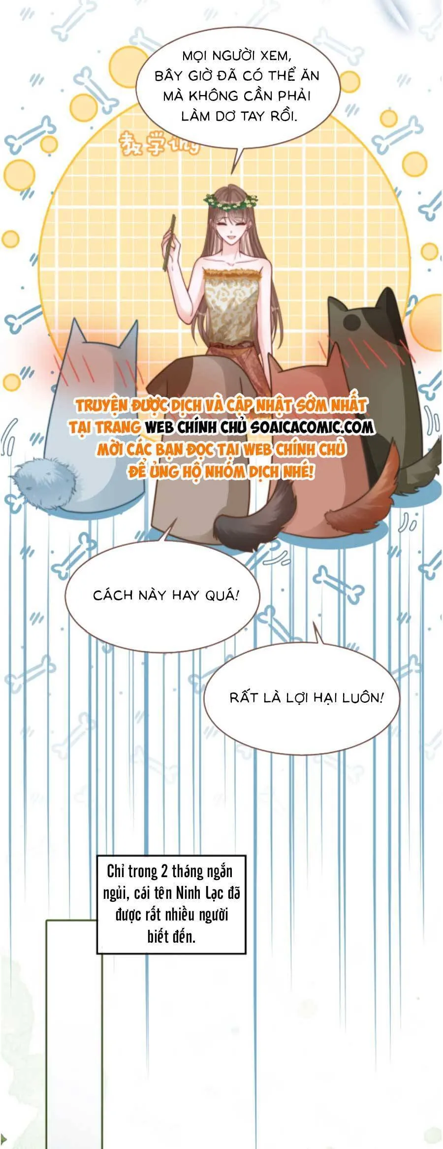Trang 17