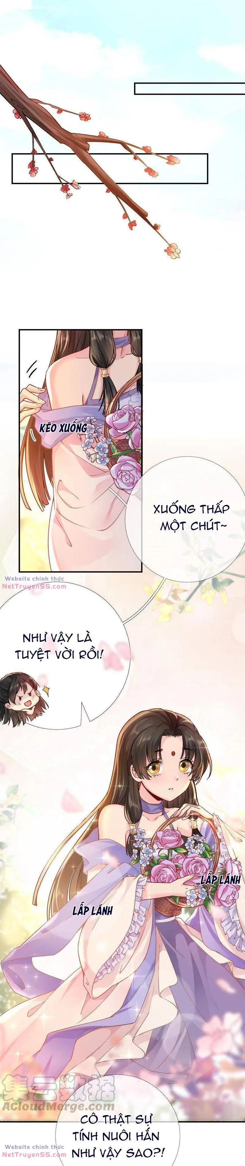 Trang 11